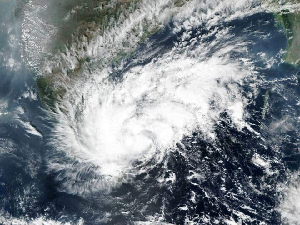 Gulab stormdd scaled