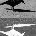 WhatsApp Image 2021 09 04 at 5.10.55 AM