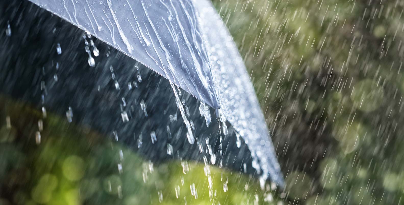 rain umbrella2
