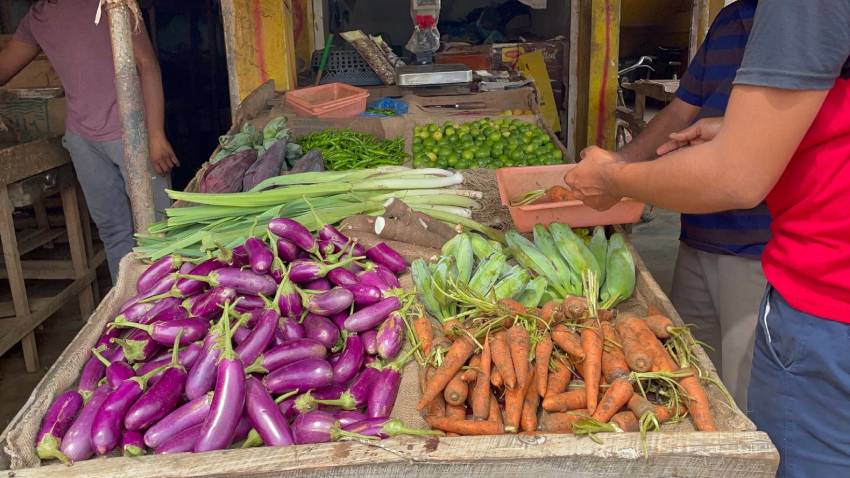 mannar vegetable 01