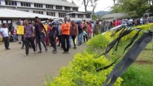 போராட்டத்தில் குதித்த தோட்டத்தொழிலாளர்கள் (படங்கள்) 8 Lindulai 01