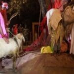 2e8377f7 7c3a 486e a671 d6ddc4ce6a21