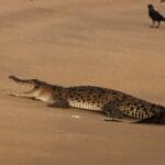 WhatsApp Image 2022 01 11 at 10.38.59 AM