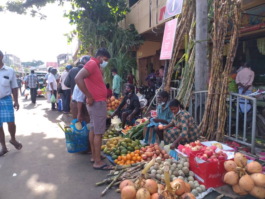jaffna pongal