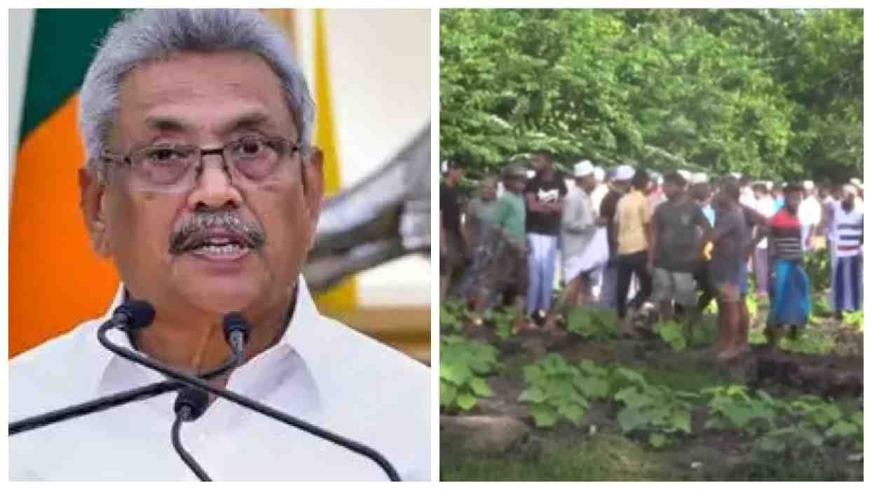 ஆய்ஷா படுகொலை: விரைவில் நீதி கிடைக்கும்! - ஜனாதிபதி நம்பிக்கை 1 ஆய்ஷா கோட்டாபய