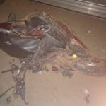 WhatsApp Image 2022 05 03 at 12.01.10 PM