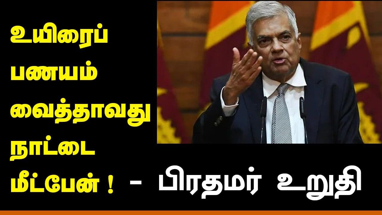 WhatsApp Image 2022 05 16 at 7.54.03 PM