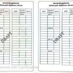 289269775 701318298032701 2324256008516894281 n