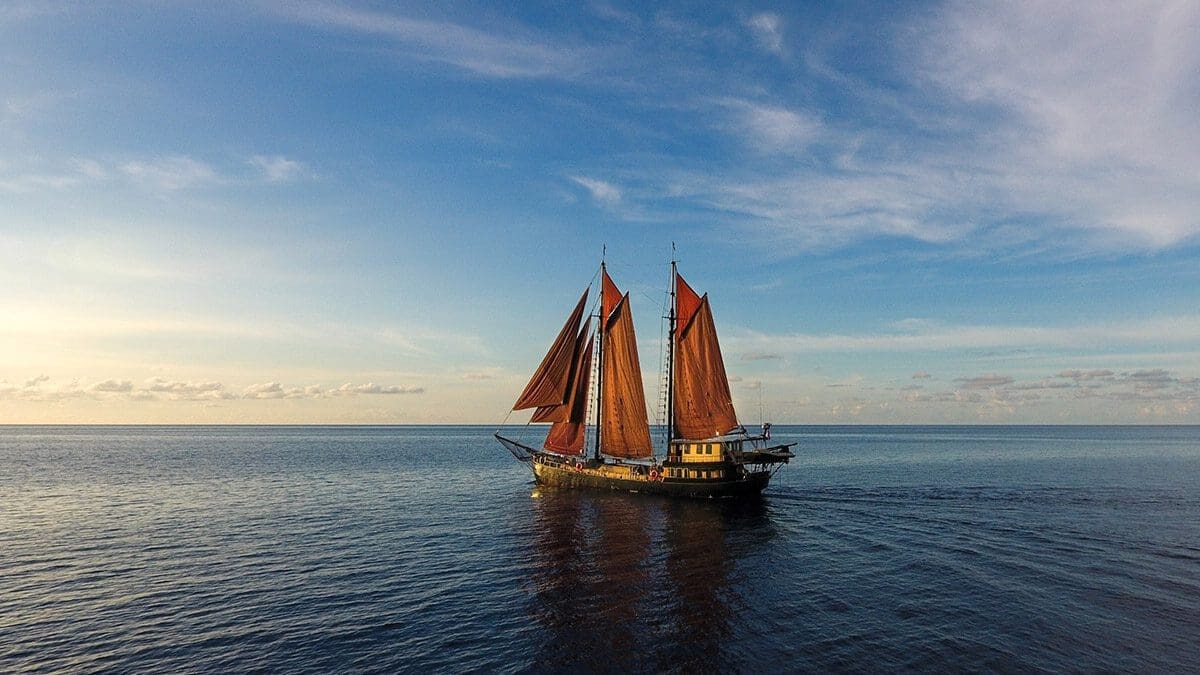 blog first liveaboard experience adelaar cruises