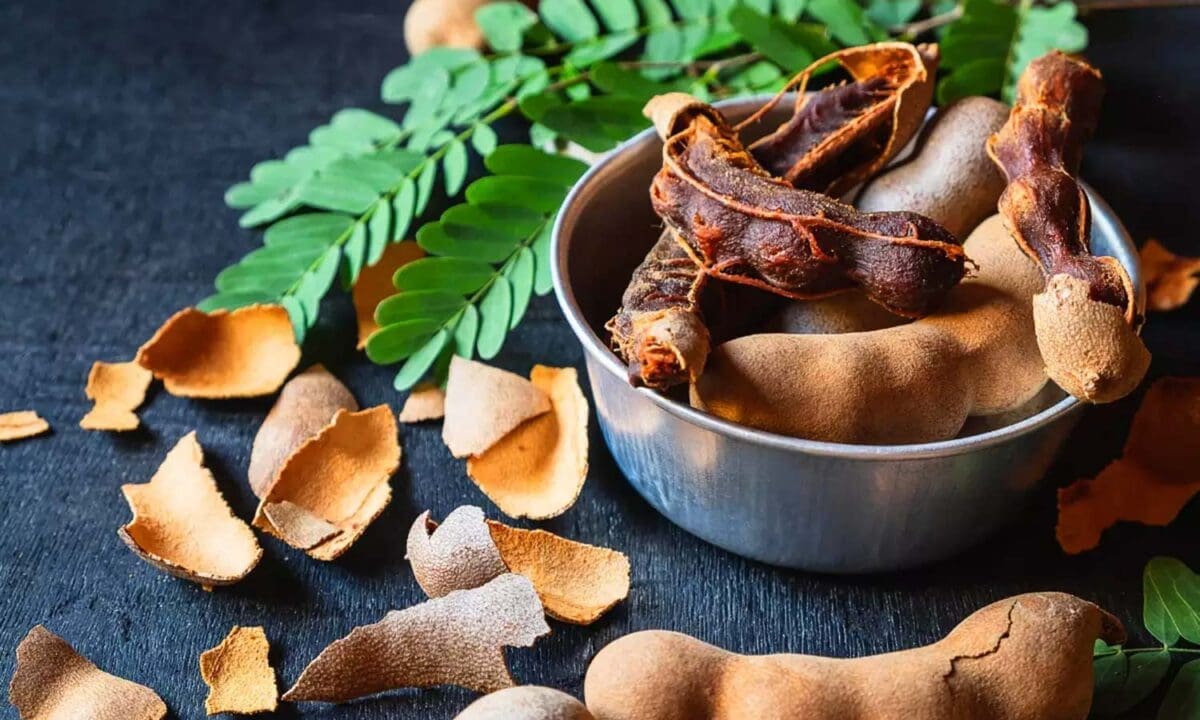 1740292 tamarind