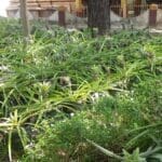 VideoCapture 20220829 113119 1