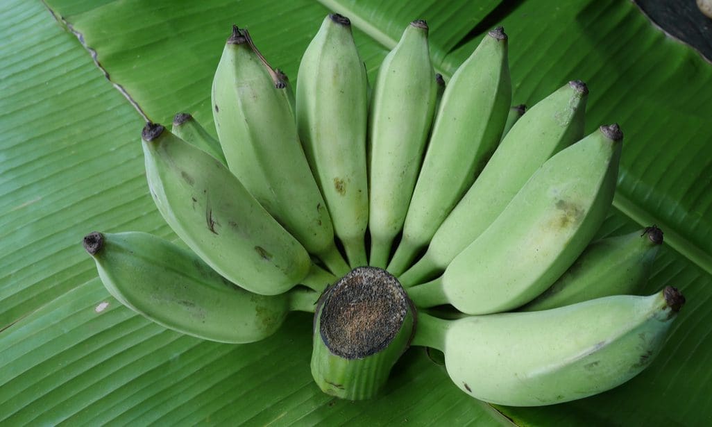 raw banana puttu