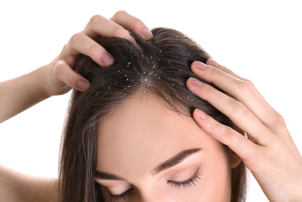 shutterstock 1727511442