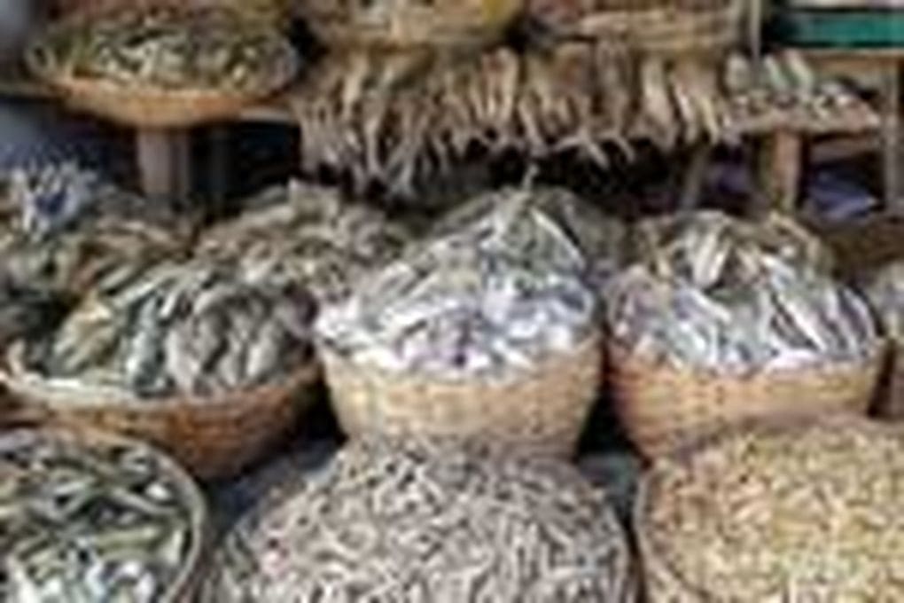 1665986494 1665973628 Dry Fish S 1
