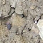 ZdyhY8HZsV1B7iPde0CA 1