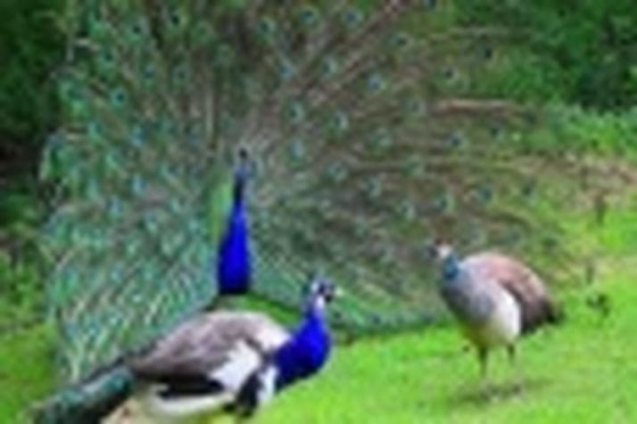 edym3cUXtI8uvIxCnbsM 1