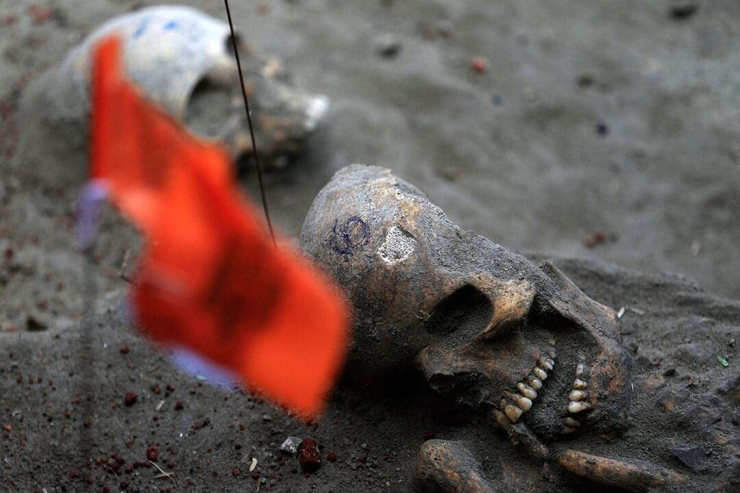 sri lanka skulls best