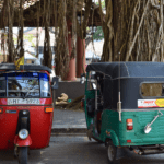 சட்டத்தை மதிக்காத சாரதிகள்: எடுக்கப்படவுள்ள கடும் நடவடிக்கை