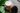 images 10
