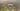 image ba58952b48