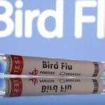 2025 07 02T141641Z 2 LYNXMPEL610MU RTROPTP 4 HEALTH BIRD FLU
