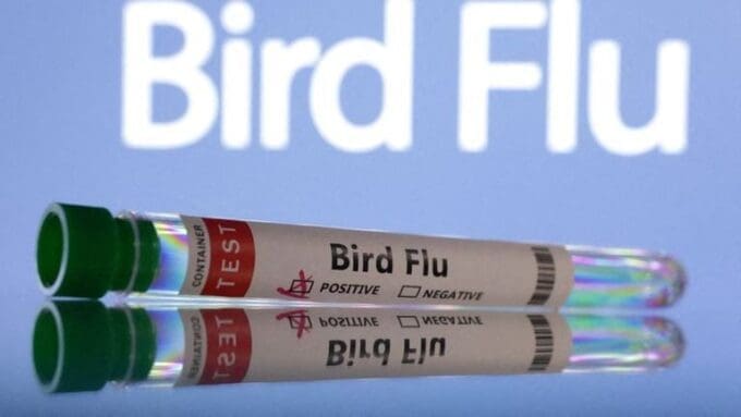 2025 07 02T141641Z 2 LYNXMPEL610MU RTROPTP 4 HEALTH BIRD FLU