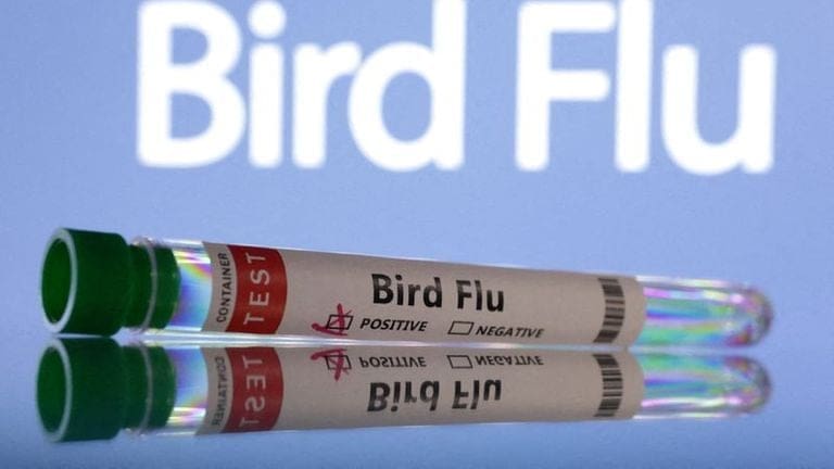 2025 07 02T141641Z 2 LYNXMPEL610MU RTROPTP 4 HEALTH BIRD FLU