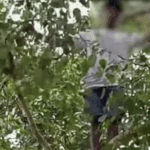 27f94221 21fe 4856 affc d708e18f170d 1