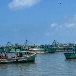 deccanherald 2024 04 864d8476 144c 4ea8 9b6b 54ed38a21ed1 file7utq9izjl7l1b7rmwhgz