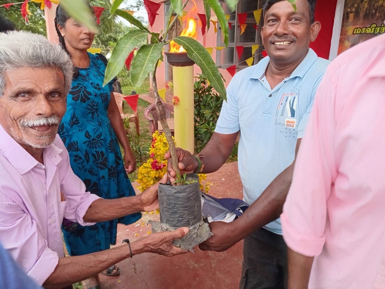 e8c8525a 174a 4fae a7ca 29dd06092afe