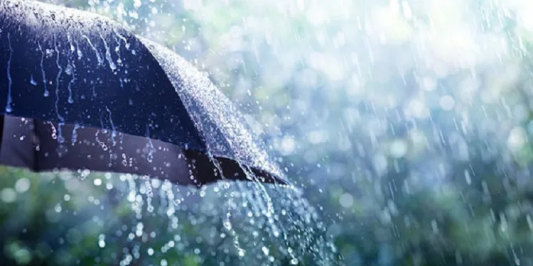 நாட்டின் பல பகுதிகளில் பெய்து வரும் பலத்த மழை நீடிக்கும்: வளிமண்டலவியல் திணைக்களம் எச்சரிக்கை! 1 கனமழை