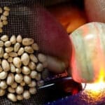 1653799819 elephant pearls