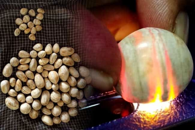 1653799819 elephant pearls