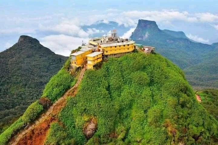 1669007454401 1646201449175