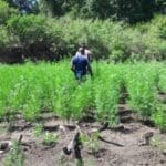 1722842228 IMG 20240804 WA0019