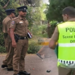 1ad787d3 c7e0 4577 a9b5 a7fb981d4c8c