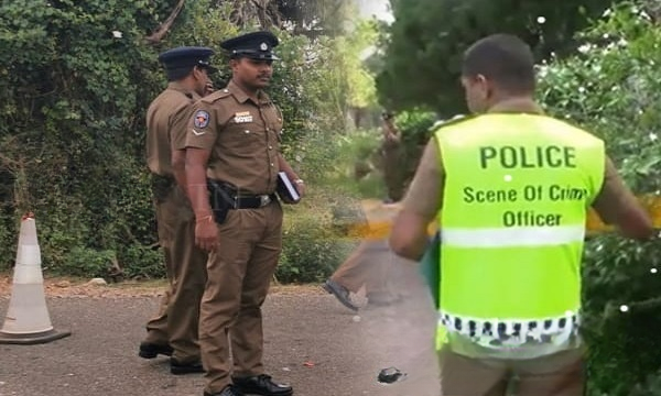 1ad787d3 c7e0 4577 a9b5 a7fb981d4c8c