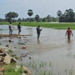 599930085 1542770143558035 1968667072831543849 n