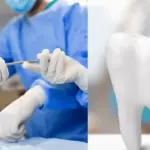 articles2FRGAP8jR5fJmot12PYdxp