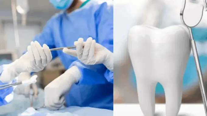 articles2FRGAP8jR5fJmot12PYdxp