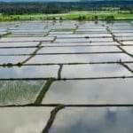 articles2FTC207I0V0Mwrh6Fetrpk