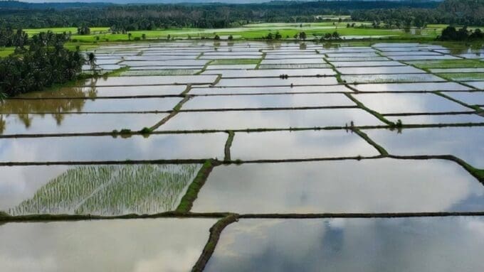 articles2FTC207I0V0Mwrh6Fetrpk