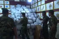 articles2FVIVe6pP2puuipbGIu7f9