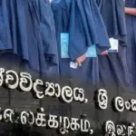 articles2FvNVHzqk0rGKKgejyoUzJ