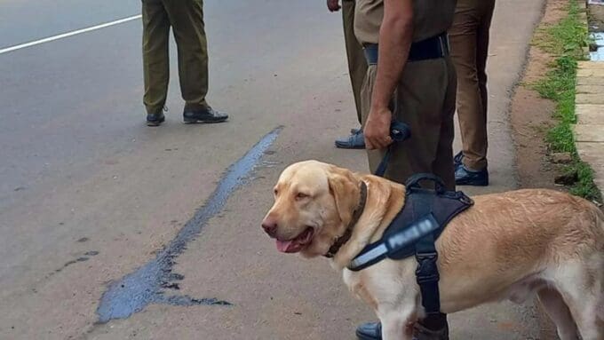 articles fceNd2CF2QyRO3rPtQeL