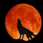 e80bd285f6c1bd940c53fb55c72b47d0