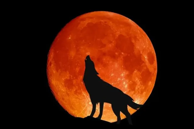 e80bd285f6c1bd940c53fb55c72b47d0