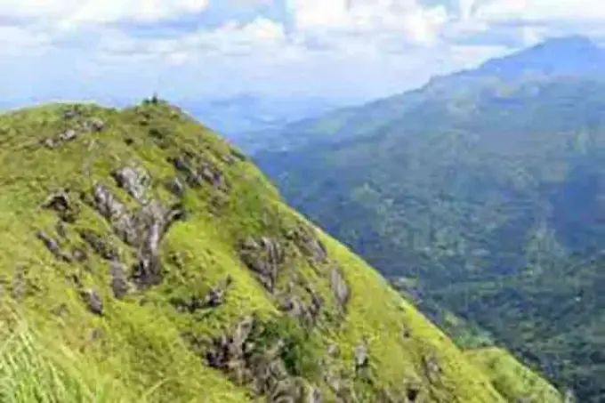 image 870x 64d8e688934ef