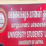 1755448610 1715924733 dddsww