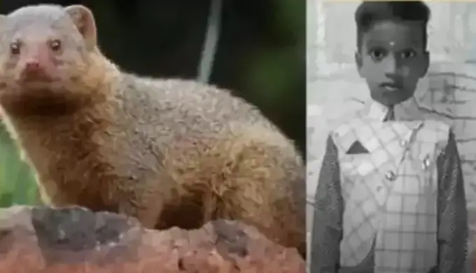 598f3b1b46771512bdcb2a6e7c22524b